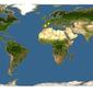 Discover Life: Point Map of Amanita malleata